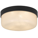 Langford Ceiling Light - Matte Black / Cloud