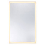 Paulding Color-Select Mirror - Gold / Mirror