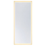 Paulding Color-Select Mirror - Gold / Mirror