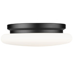 Soleil Color-Select Ceiling Light - Matte Black / Matte Opal