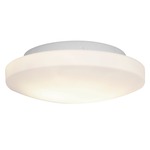 Orion Ceiling Light Fixture - White / Opal