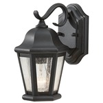 Martinsville Small Outdoor Wall Sconce - Black / Clear Seeded