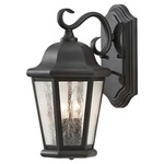 Martinsville Outdoor Wall Sconce - Black / Clear Seeded