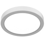 A Disk Ceiling Light - White / White