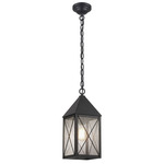 Ashford X Pattern Outdoor Pendant - Matte Black / Seedy
