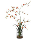 Dancing Orchid In Glass Vase - Green/Orange / Clear
