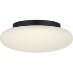 Amir Ceiling Flush Light - Midnight Black / Opal Etched