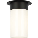 Archer Glass Ceiling Light - Midnight Black / Milk