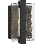 Briggs Outdoor Wall Light - Textured Black / Clear