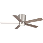 Sweetwater Ceiling Fan with Light - Nickel / Silver / Vintage Oak