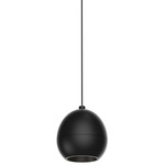 MicroTrack 48VDC Drop Pendant - Black