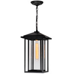 Crawford Outdoor Pendant - Black / Clear