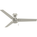 Cassius Indoor/Outdoor Ceiling Fan - Matte Nickel / Matte Nickel