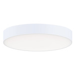 Trim 120-277V 3-in-1 Dim Ceiling Light - White / White