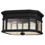 Cotswold Lane Outdoor Ceiling Light Fixture - Black / Clear Beveled