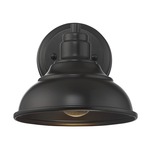 Dunston Dark Sky Exterior Wall Sconce - English Bronze