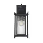 Dunnmore Outdoor Wall Sconce - Black / Clear Seeded