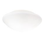Janeiro K Wall / Ceiling Light - White / Opal