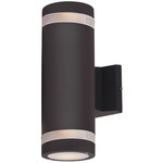 Lightray Glass Stripe Outdoor Wall Light - Architectural Bronze / White