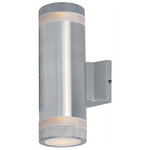 Lightray Glass Stripe Outdoor Wall Light - Brushed Aluminum / White