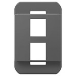 Adorne 2 Port Keystone Frame - Magnesium