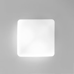 Rialto Wall / Ceiling Light - White / Opal