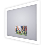 Silhouette Lighted Mirror with TV - Frosted