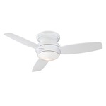 Traditional Concept Indoor / Outdoor Ceiling Fan with Light - White / White