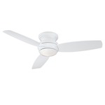 Traditional Concept Indoor / Outdoor Ceiling Fan with Light - White / White