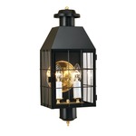 American Heritage 2 Light Outdoor Wall Sconce - Black / Clear