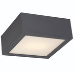 Rubix 10 Outdoor Wall / Ceiling Light - Black / Etched Glass