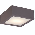 Rubix 10 Outdoor Wall / Ceiling Light - Bronze / Etched Glass