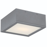 Rubix 10 Outdoor Wall / Ceiling Light - Graphite / Etched Glass