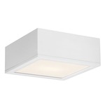 Rubix 10 Ceiling Flush Mount - White / Etched Glass