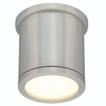 Tube Cylinder Outdoor Wall / Ceiling Light - Brushed Aluminum
