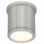 Tube Outdoor Wall / Ceiling Light - Brushed Aluminum
