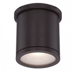 Tube Cylinder Outdoor Wall / Ceiling Light - Bronze