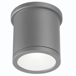Tube Cylinder Outdoor Wall / Ceiling Light - Graphite