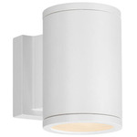Tube Up/Down Light Outdoor Wall Sconce - White / Etched