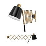 Pastorius Wall Light - Gold / Matte Black