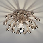 Anemone Wall / Ceiling Light - Polished Nickel