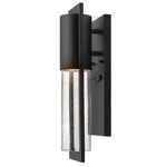 Shelter Tall Outdoor Wall Sconce - Black / Clear Seedy