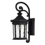 Raley 120V Outdoor Wall Light - Museum Black / Clear Water