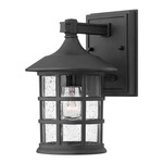 Freeport 120V Aluminum Outdoor Wall Sconce - Black / Clear Seedy