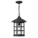 Freeport 120V Aluminum Outdoor Pendant - Black / Clear Seedy