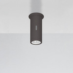 Calumet 4W 24 Deg Outdoor Ceiling Light - Anthracite Grey