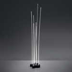 Reeds Floor Lamp - Black / Clear
