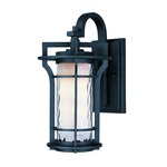 Oakville Outdoor Wall Light - Black Oxide / Water Glass