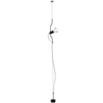 Parentesi Ceiling To Floor Lamp - Black