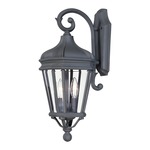 Harrison Outdoor Wall Light - Black / Clear